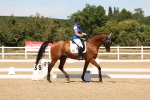 SBM_002880