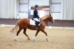 SBM_000482