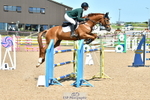 Cls 6 National 1.30m Open portfolio