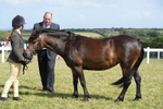DSC07640