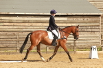 SBM_000231