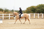 SBM_000599