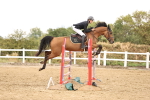 SBM_026880