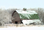 December Snow