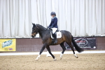 SBM_006231