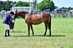 SBM_03860