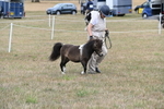 WJ6_5252