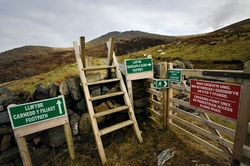 Fragile land 2 portfolio