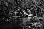 Clare Glens Waterfall, Ireland.