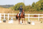 SBM_018313