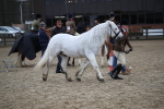 SBM_006176