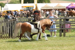 SBM_05220