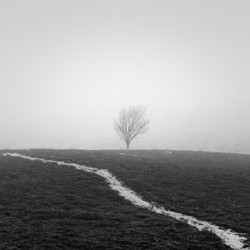 Journey to see an old man