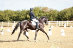 SBM_008751