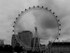 The London Eye/Millennium Wheel 1(b&w)