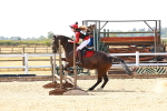 SBM_002356