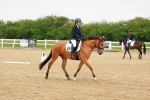 SBM_005337