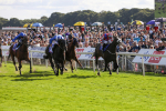 240824-Race 5-Elmonjed-9168