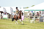 SBM_16433
