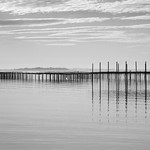 Oyster beds No1