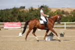 SBM_022531