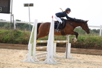 Class 14: Pony Discovery/90cm open portfolio