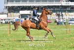 BPP_0512
