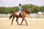 SBM_007410
