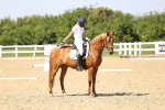 SBM_010087