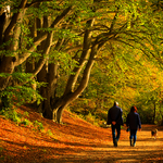 Perfect Autumn Day