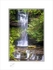 01 9x12 2019-550C Glencar Waterfall Co Sligo