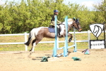 SBM_001261