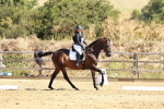 SBM_001402