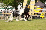 SBM_08770