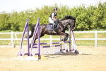 SBM_001392
