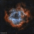 Rosette Nebula NGC 2237