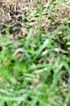 SBM_09461