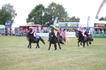 SBM_09957