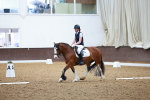 SBM_000852