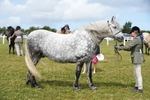DSC05803