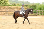 SBM_000933
