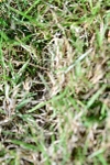 SBM_10070