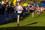 Falkirk25-910834