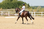 SBM_022582