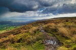 Paths Over Ilkley Moor
