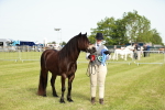SBM_00657