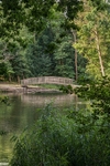 Cannop Footbridge Reflections