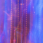 23rd Dec Christmas Lights