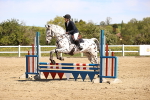 SBM_001531
