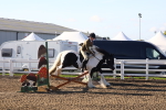 SBM_07918